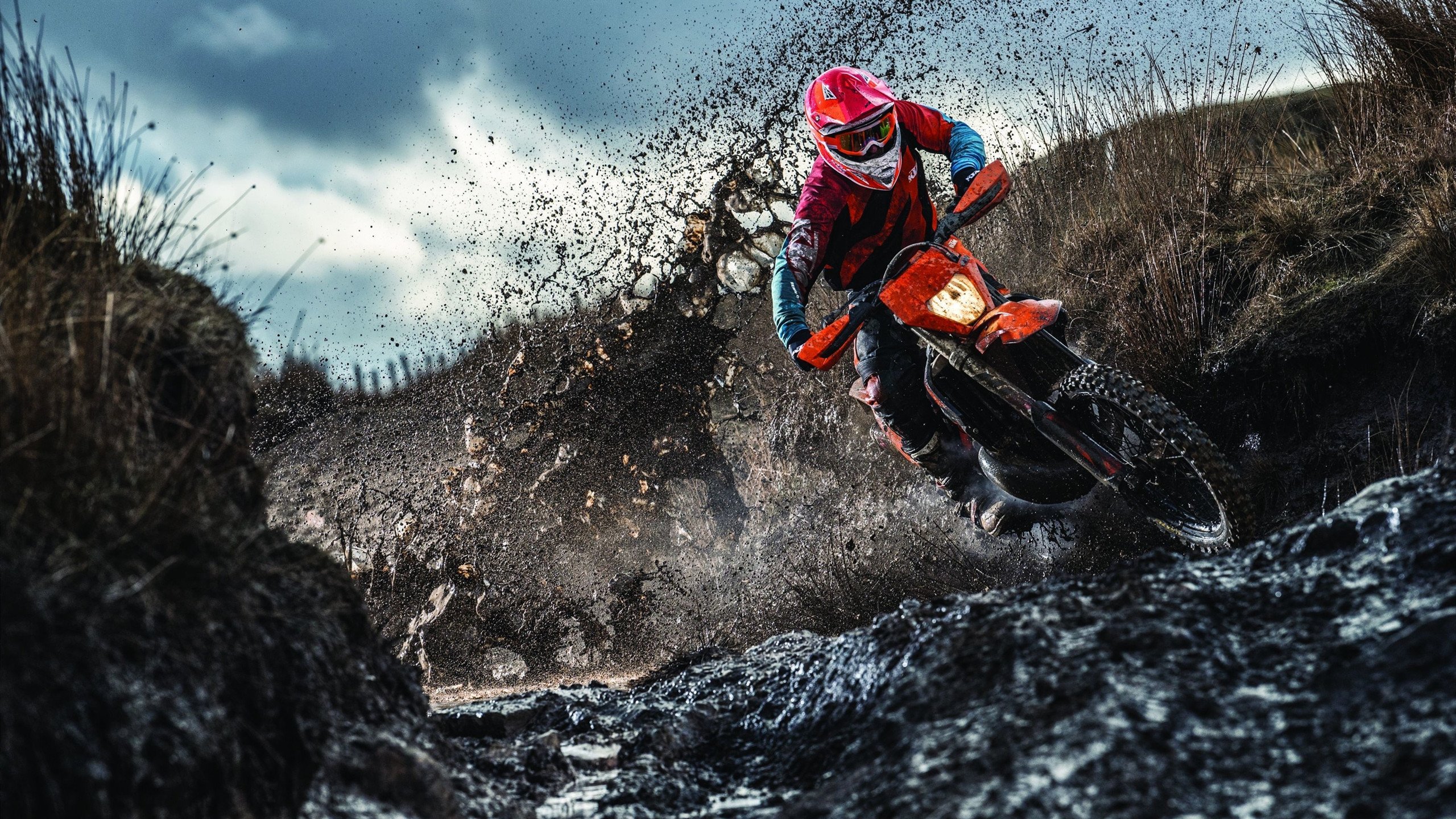 美国队未来发展规划:通过团队管理与心理训练促进球员成长,美国队基本形态