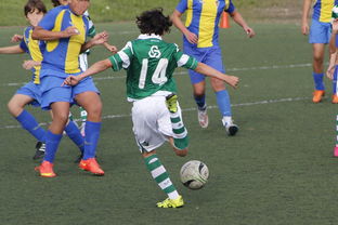 乐鱼（中国）体育官方网站-五大联赛半场调整成功引领逆转走势，五大联赛再次停摆